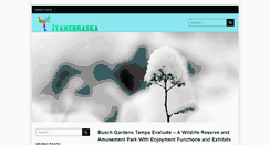 Desktop Screenshot of iyanebraska.org